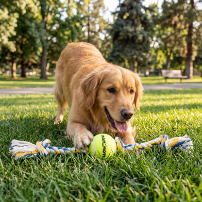 Flossy Chews Cottonblend 3 Knot Tug with 4" Tennis Ball Rope Dog Toy, Large, 24", Assorted Colors