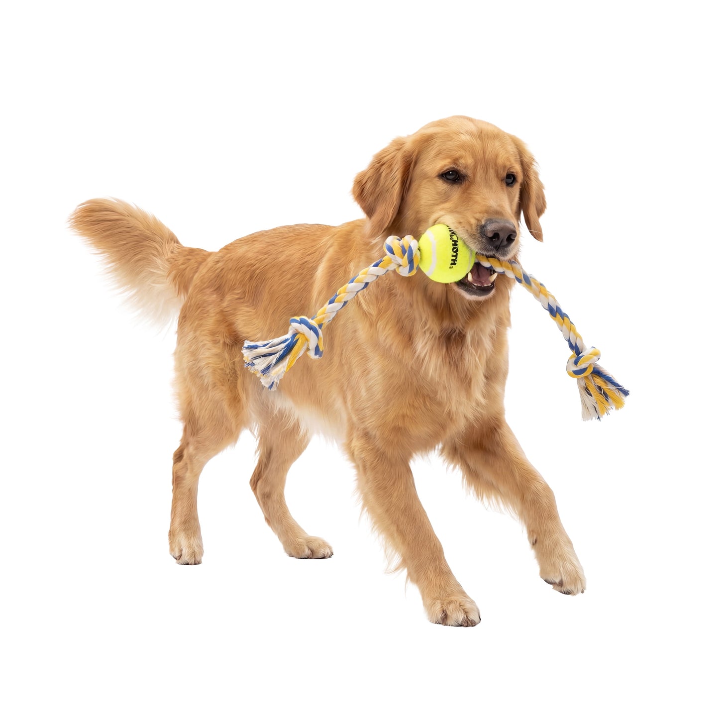 Flossy Chews Cottonblend 3 Knot Tug with 4" Tennis Ball Rope Dog Toy, Large, 24", Assorted Colors