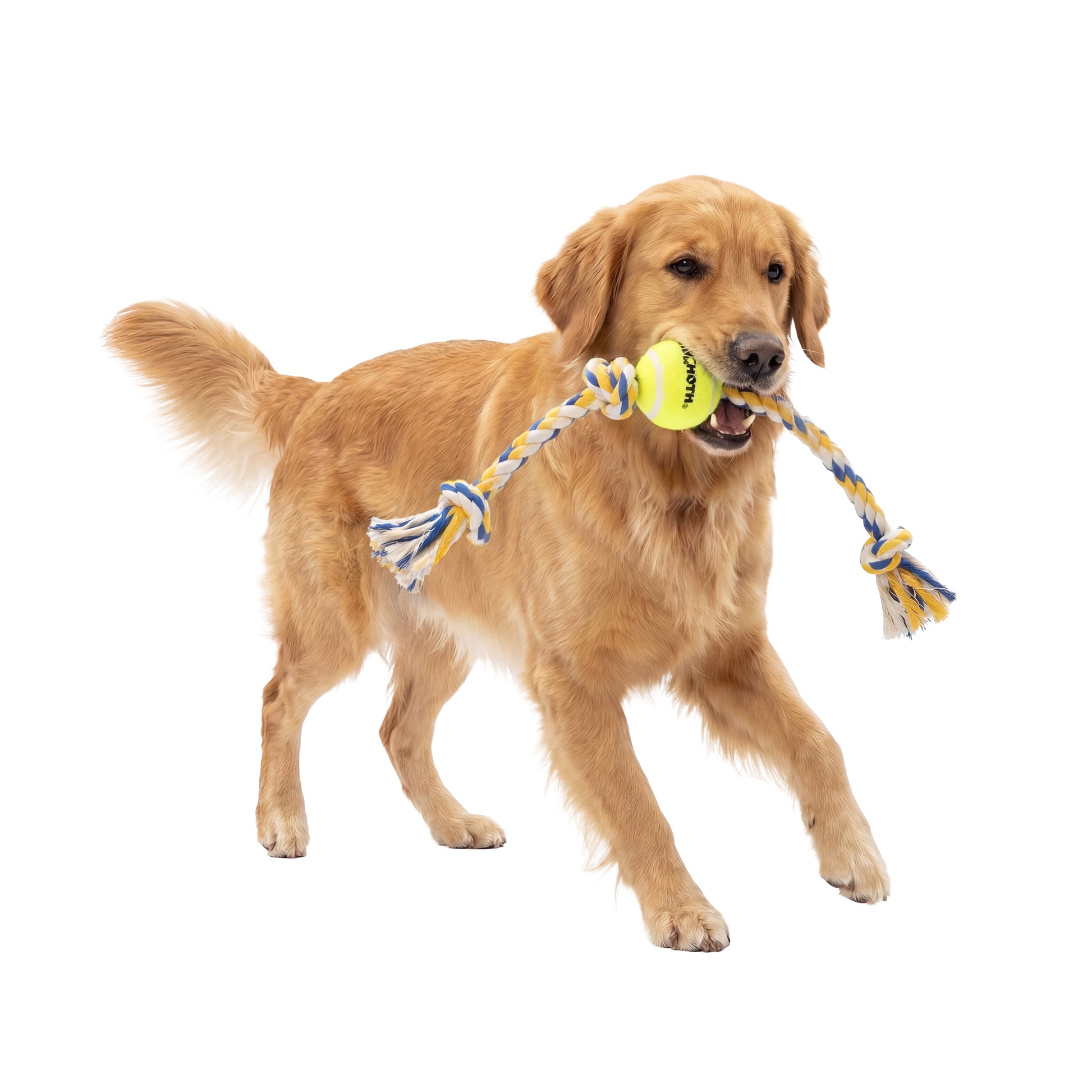 Flossy Chews Cottonblend 3 Knot Tug with 4" Tennis Ball Rope Dog Toy, Large, 24", Assorted Colors