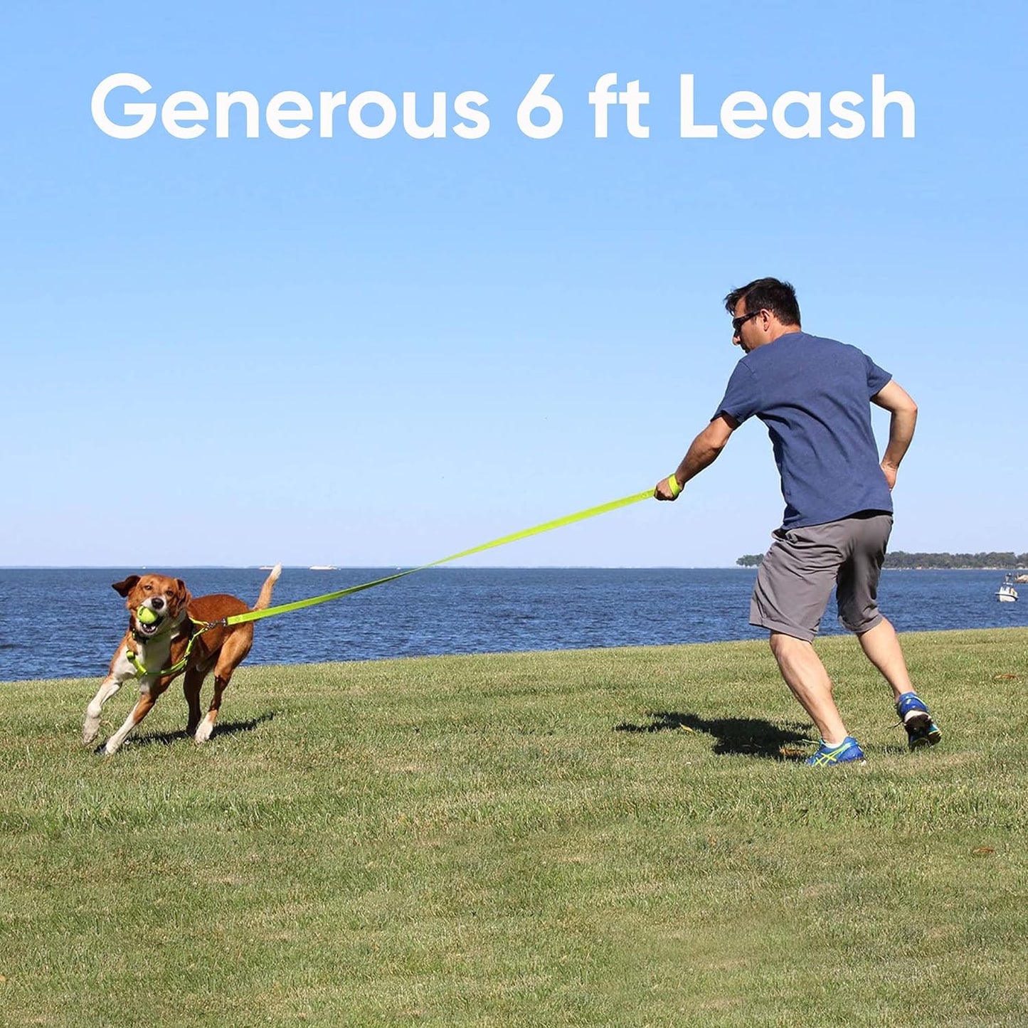 Orchid Dog Leash 6 Ft XS/S Reflective Durable Lightweight Dog Lead for Small Dogs and Puppies