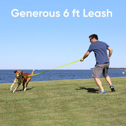 Orchid Dog Leash 6 Ft XS/S Reflective Durable Lightweight Dog Lead for Small Dogs and Puppies