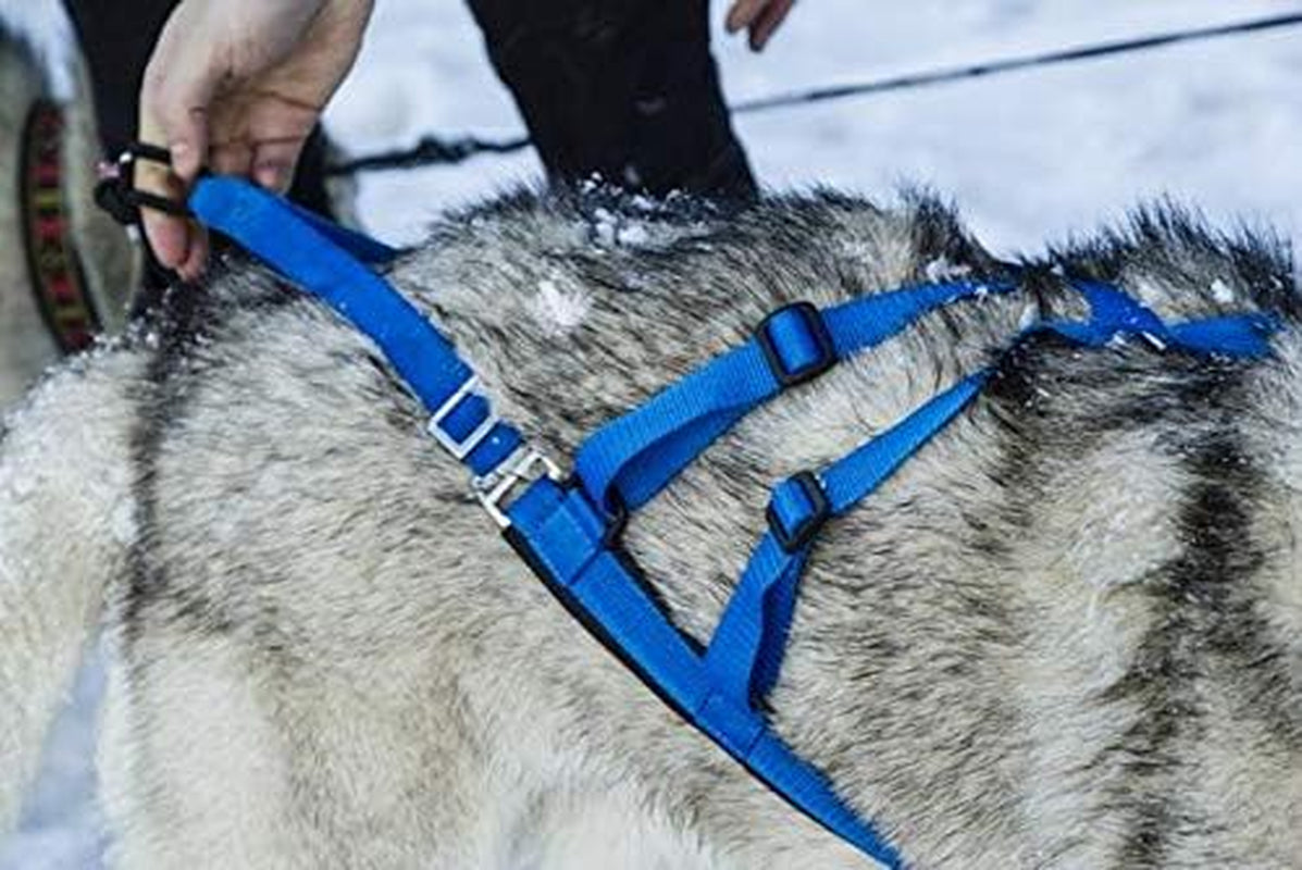 Adjustable Sled Pro Harness (Large, Yellow), Dog Harness for Large Breeds, Giant Dogs, Sled Pulling